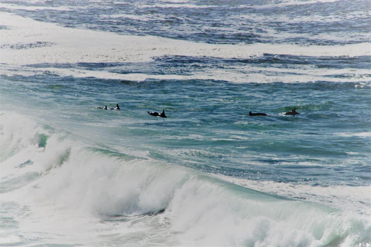 Misty Waves Boutique Hotel Hermanus Exterior photo